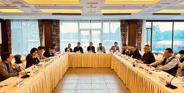 多多28组织召开副会长座谈研讨会